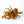 Liggend Veldboeket in terra en oranje met diverse bloemen 
Hamamelis bruin
Bestak Terra
Gloriosia Oranje
Malva Oranje
Tulp Parrot Oranje
Allium Terra
Varenblad - WinQ