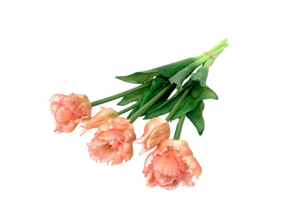 Zalmkleurige tulpen in een bos met 5 stuks - WinQ