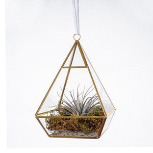 glazen piramide terrarium hoogte 21cm met gouden frame en gevuld met plantjes
