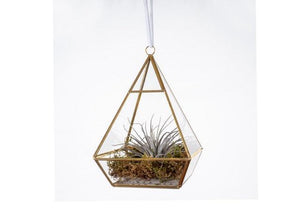 glazen piramide terrarium hoogte 21cm met gouden frame en gevuld met plantjes