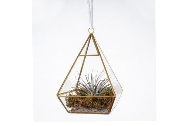 glazen piramide terrarium hoogte 21cm met gouden frame en gevuld met plantjes