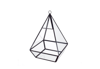 Glas terrarium in piramide vorm met een plantje hoogte 21cm productfoto