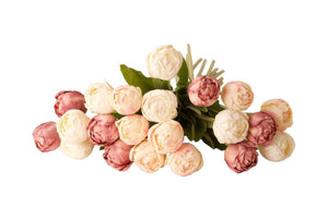 Foto van de bovenkant van tulpen in roze wit en mauve - WinQ