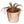 Bloempot met een zacht roze kleur en een gouden cirkelpatroon. inde pot zit een tillandsia en is afgewerkt met mos