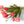 Liggend gefotografeerd boeket van tulpen en berkentakken inrol fuchsia arrangement - WinQ