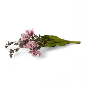 liggend boeket papagaai tulpen gebonden met blauwe bes - WinQ