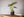 Mand Abaca Zwart Groot - WinQ!