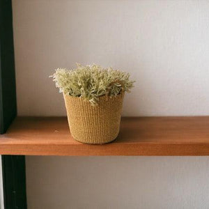 mand van Abaca  in de kleur beige 26x20cm  met een nep plant op een  plank tegen een witte muur