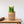 Plantenmand Abaca Naturel 24x31cm met narcissen op een houten tafel;