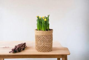 Plantenmand Abaca Naturel 24x31cm met narcissen op een houten tafel;