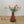 Boeket oranje tulpen op vaas - WinQ