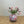 video van kunsttulpen in de kleur mauve en rosé op een bolvormige vaas met een bloemenprint