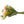 liggend bos tulpen met groen asparagus - WinQ