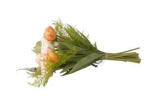 liggend bos tulpen met groen asparagus - WinQ
