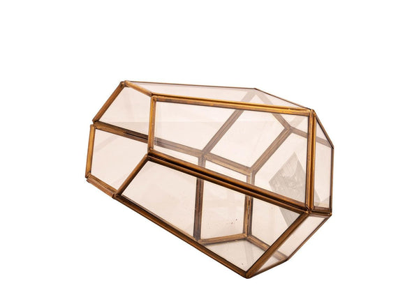 Glas Terrarium met Tilandsia's - WinQ!