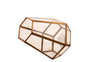 Glas Terrarium met Gouden afwerking 18x12cm - WinQ!