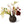 Tulpenvaas Groot Bordeaux / Roze - WinQ!
