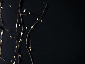 details van de ledjes met warm wit en witlicht